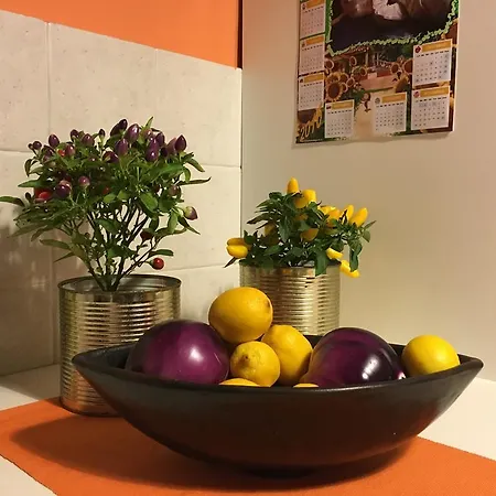 Dimora Gaja * טורינו